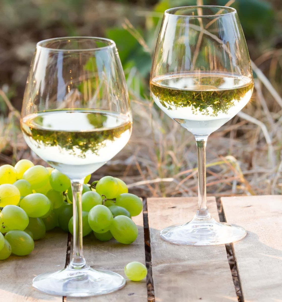 White Wines
